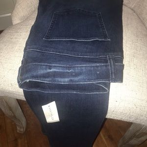 Ann Taylor (Factory) Modern Skinny Jean